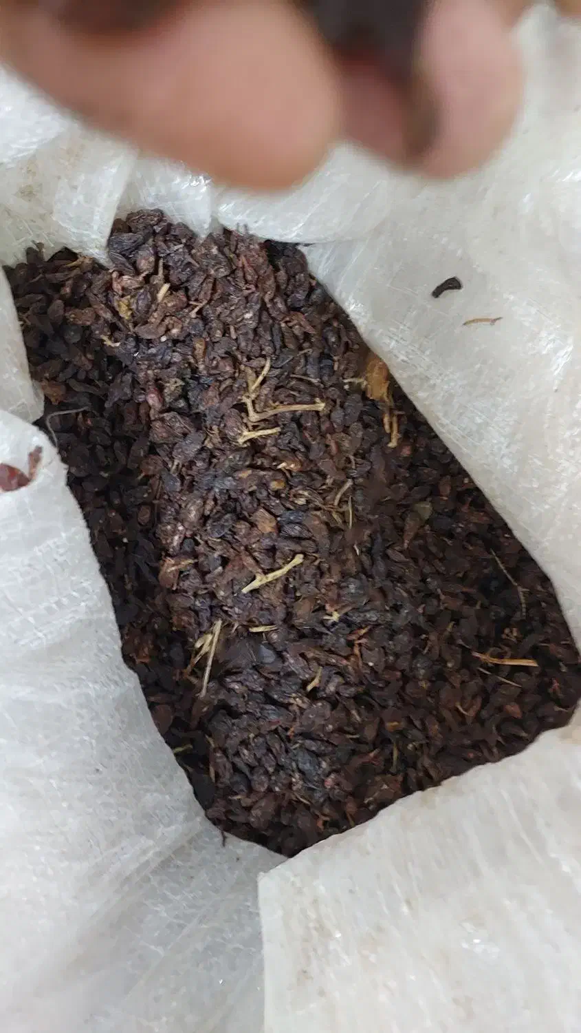 کشمش|خوردنی و آشامیدنی|نیشابور, عدالت|دیوار