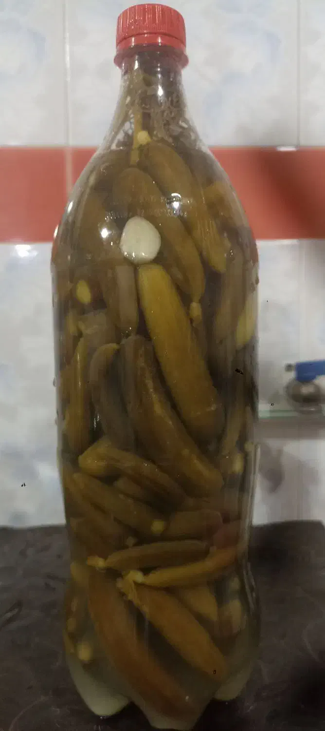 خیار شور ترد و خوشمزه|خوردنی و آشامیدنی|شیرینسو, |دیوار