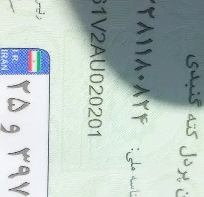 مدارک گم‌ شده|اشیا|شیراز, احمدی جنوبی|دیوار