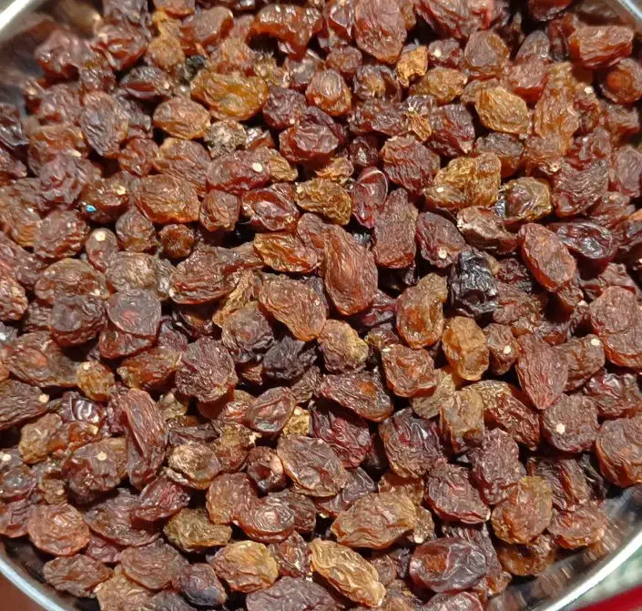 مویز & ممیز|خوردنی و آشامیدنی|سبزوار, گلشن|دیوار