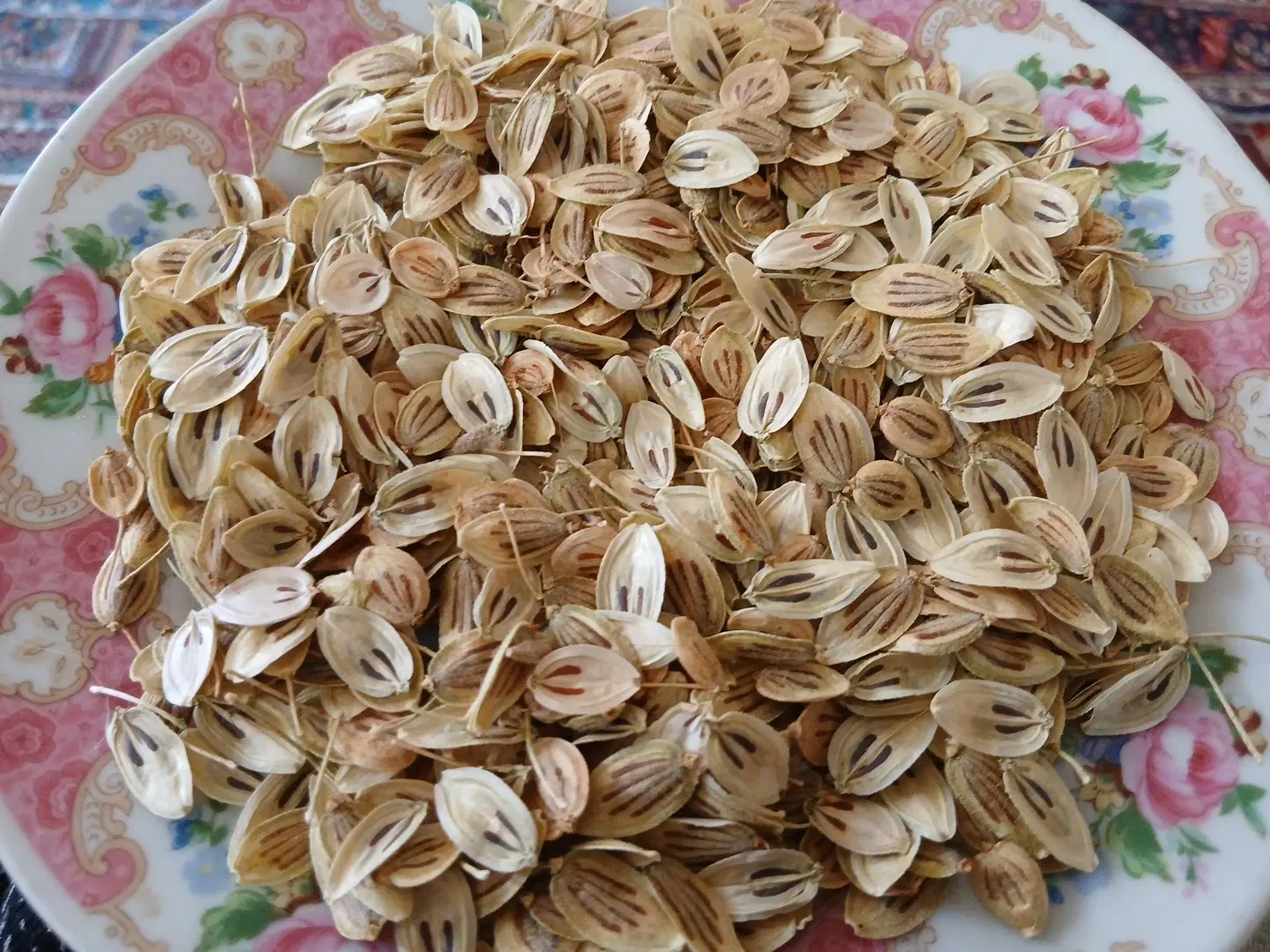 گل پر|گل و گیاه طبیعی|خلخال, |دیوار