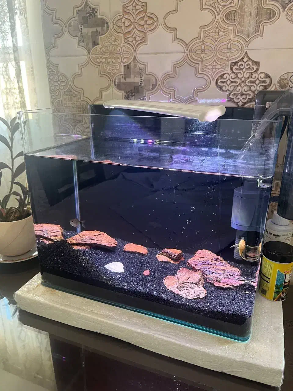 یک آکواریوم مدرن شیشه خم|ماهی|اسلامشهر, شهرک سعیدیه|دیوار