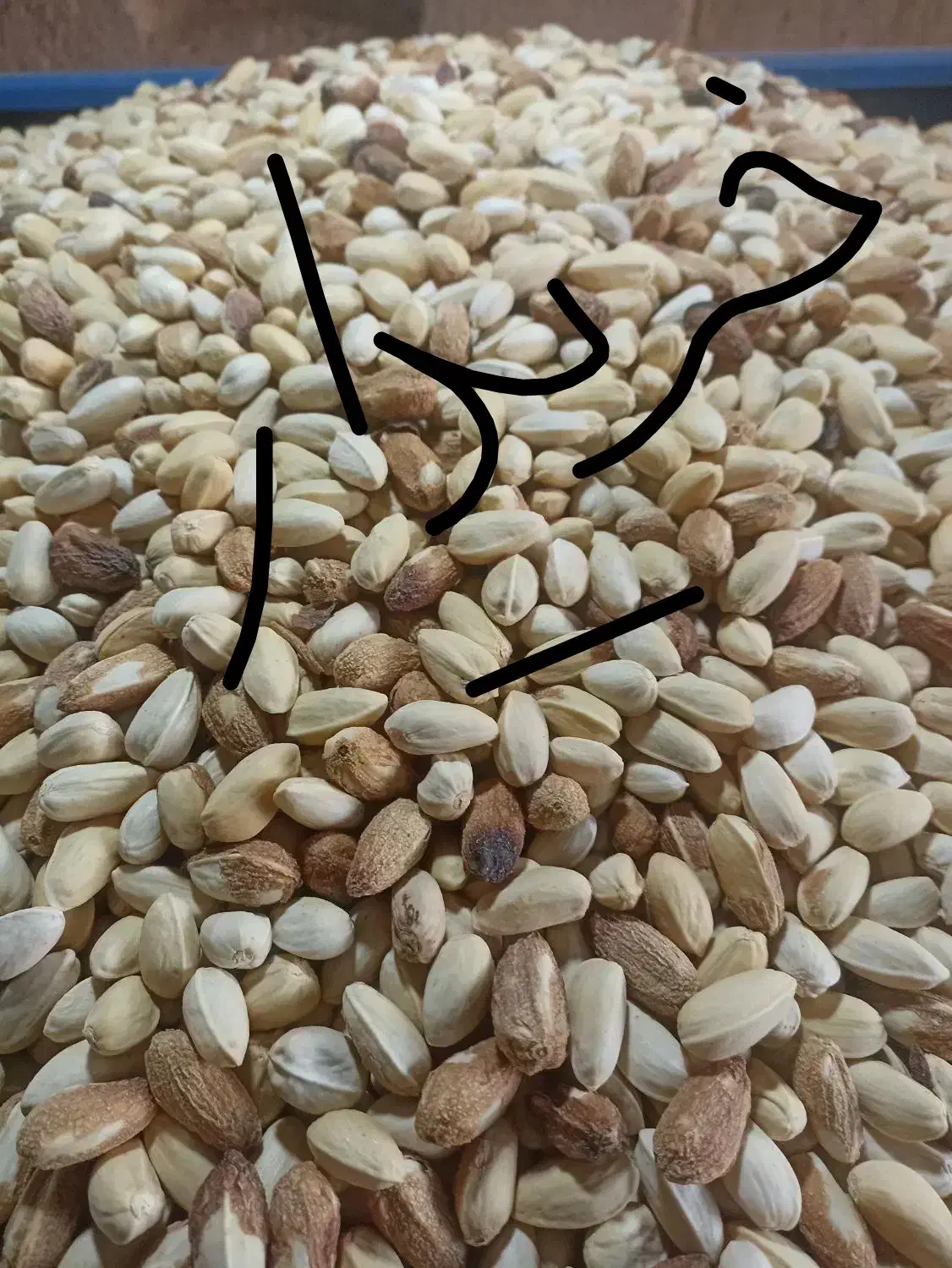 پسته‌پوک|خوردنی و آشامیدنی|شاهین‌شهر, عطار|دیوار