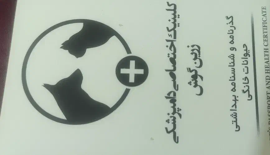 پامر|سگ|چهارباغ, |دیوار