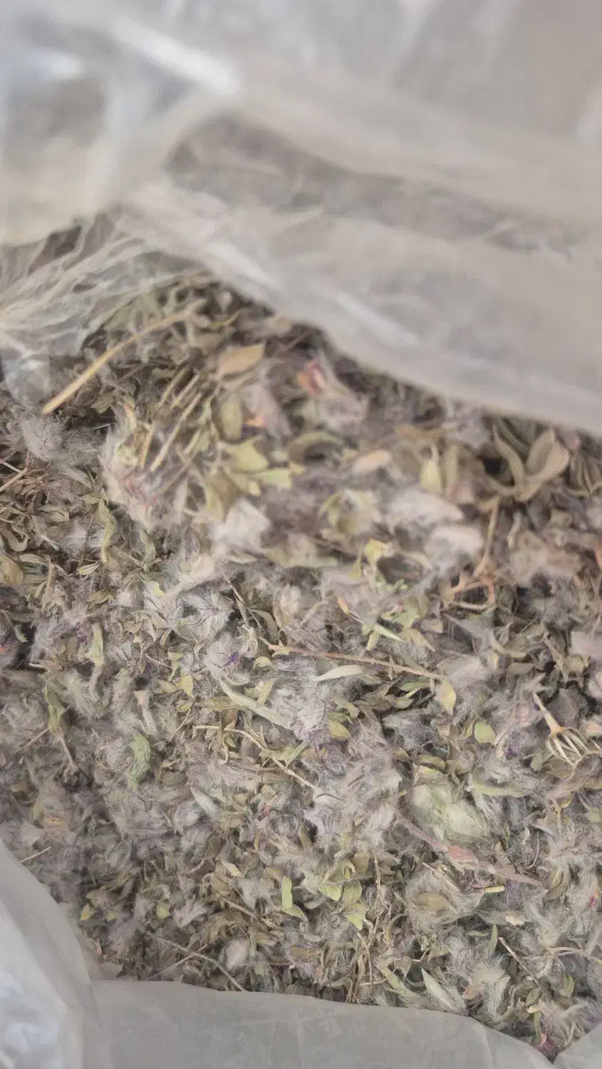 چای کوهی اویشن  پونه|خوردنی و آشامیدنی|تهران, زرکش|دیوار