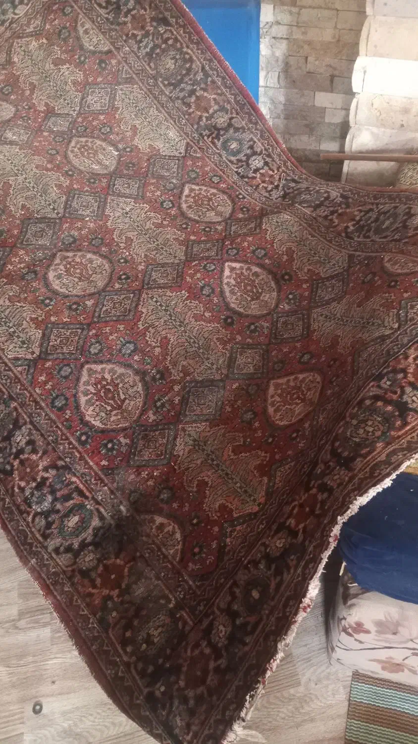 فرش دست بافت|فرش|رشت, استقامت ۲|دیوار