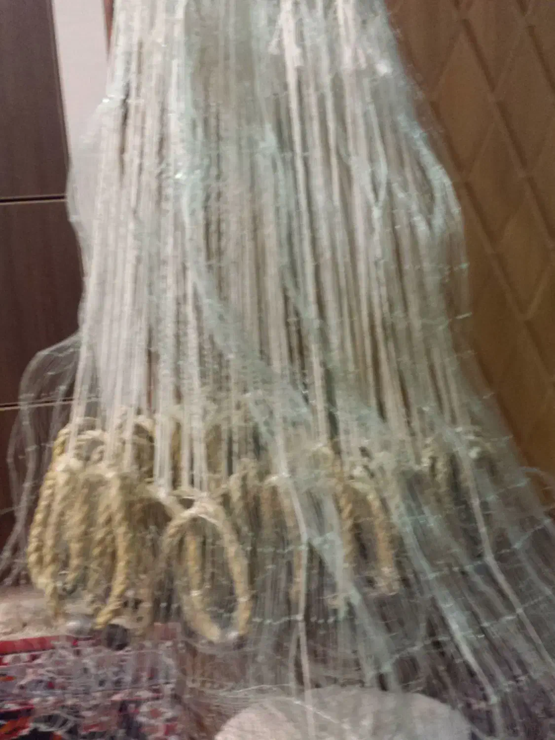 تور ماهیگیری|ماهیگیری|اصفهان, درب کوشک|دیوار