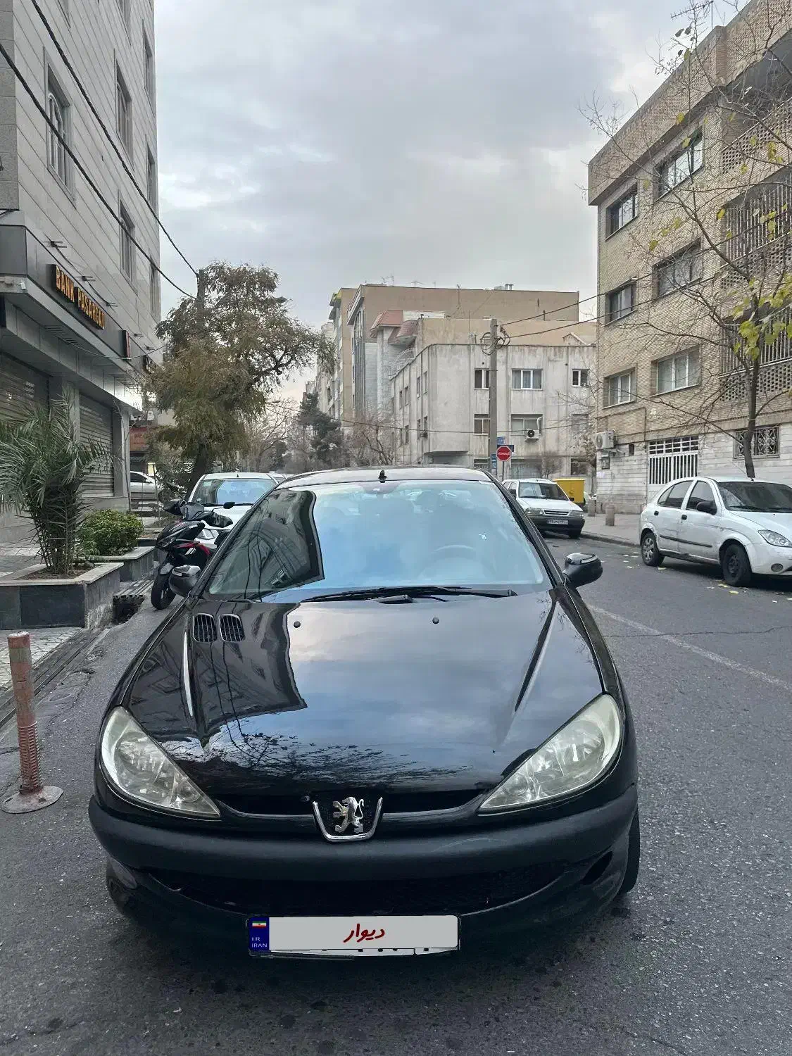 ۲۰۶ sdمدل ۹۲|خودرو سواری و وانت|تهران, تهرانپارس جنوبی|دیوار