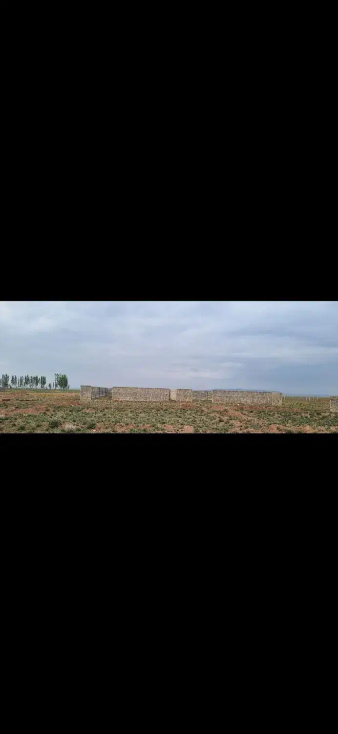 چند قطعه زمین در امراباد بفروش میرسد|فروش زمین و ملک کلنگی|معصومیه, |دیوار