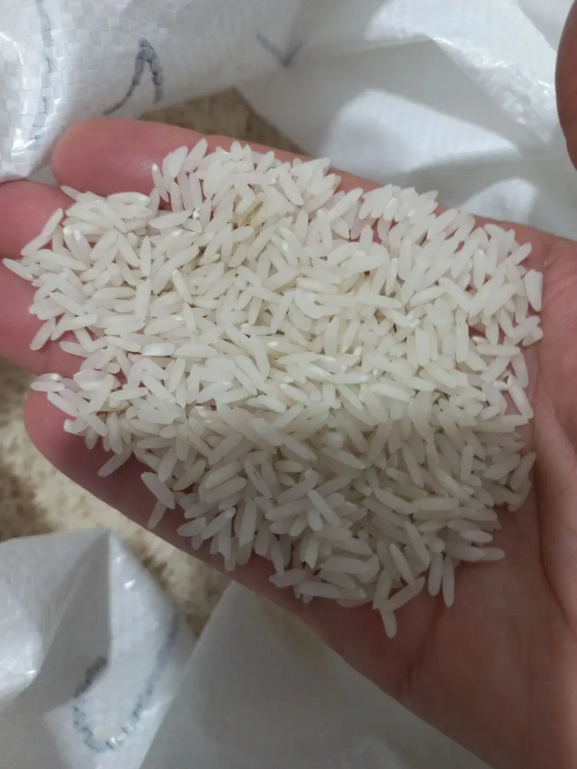 برنج طارم هاشمی|خوردنی و آشامیدنی|کردکوی, |دیوار