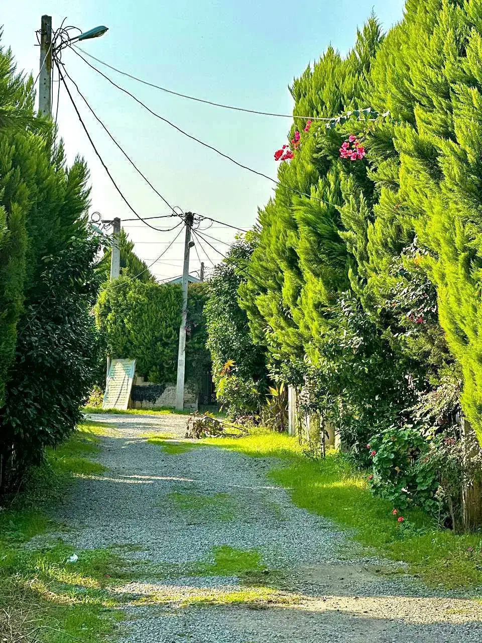 ویلای شیک و مدرن فلت|فروش خانه و ویلا|چمستان, |دیوار