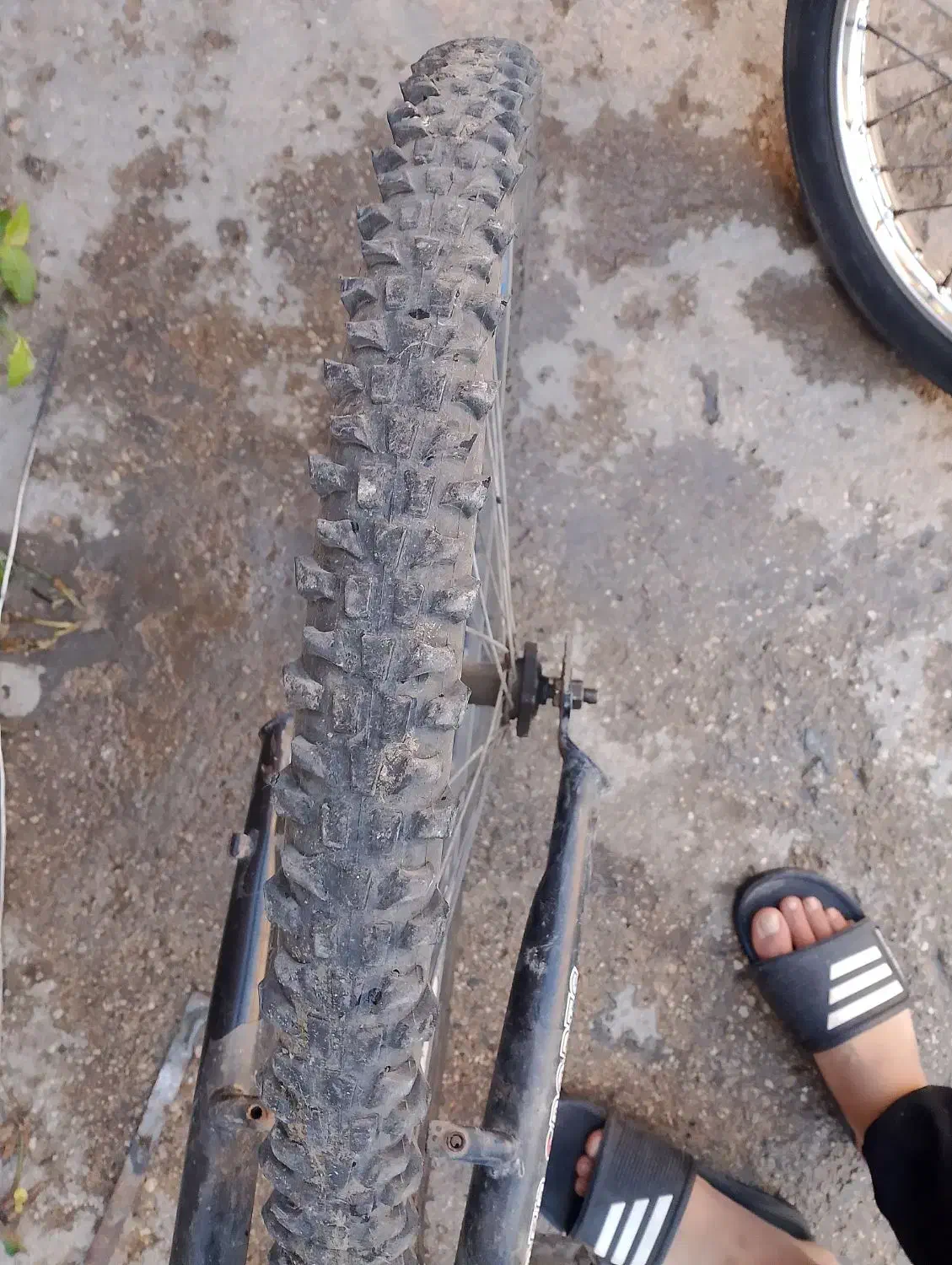 دوچرخه|دوچرخه، اسکیت، اسکوتر|کلاله, |دیوار