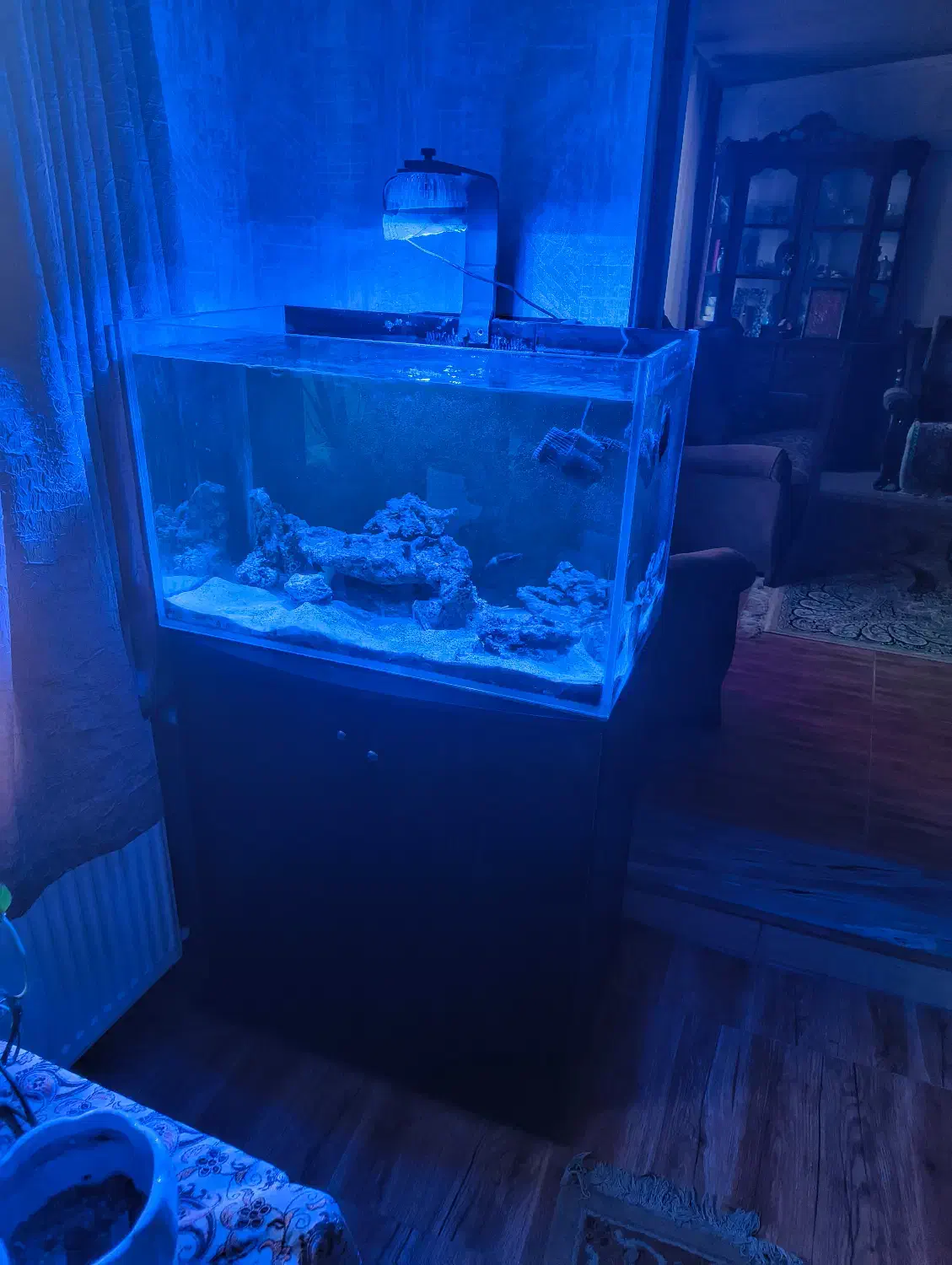 آکواریوم آب شور با وسایل|ماهی|پاکدشت, پاکدشت (مامازند)|دیوار