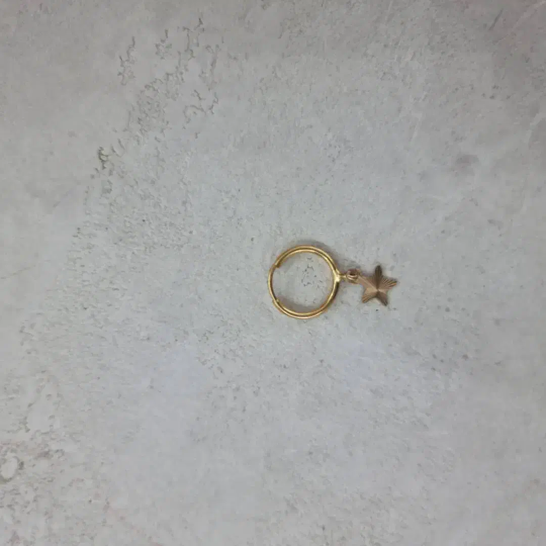 یک عدد گوشوار گم شده|جواهرات|دهدشت, |دیوار