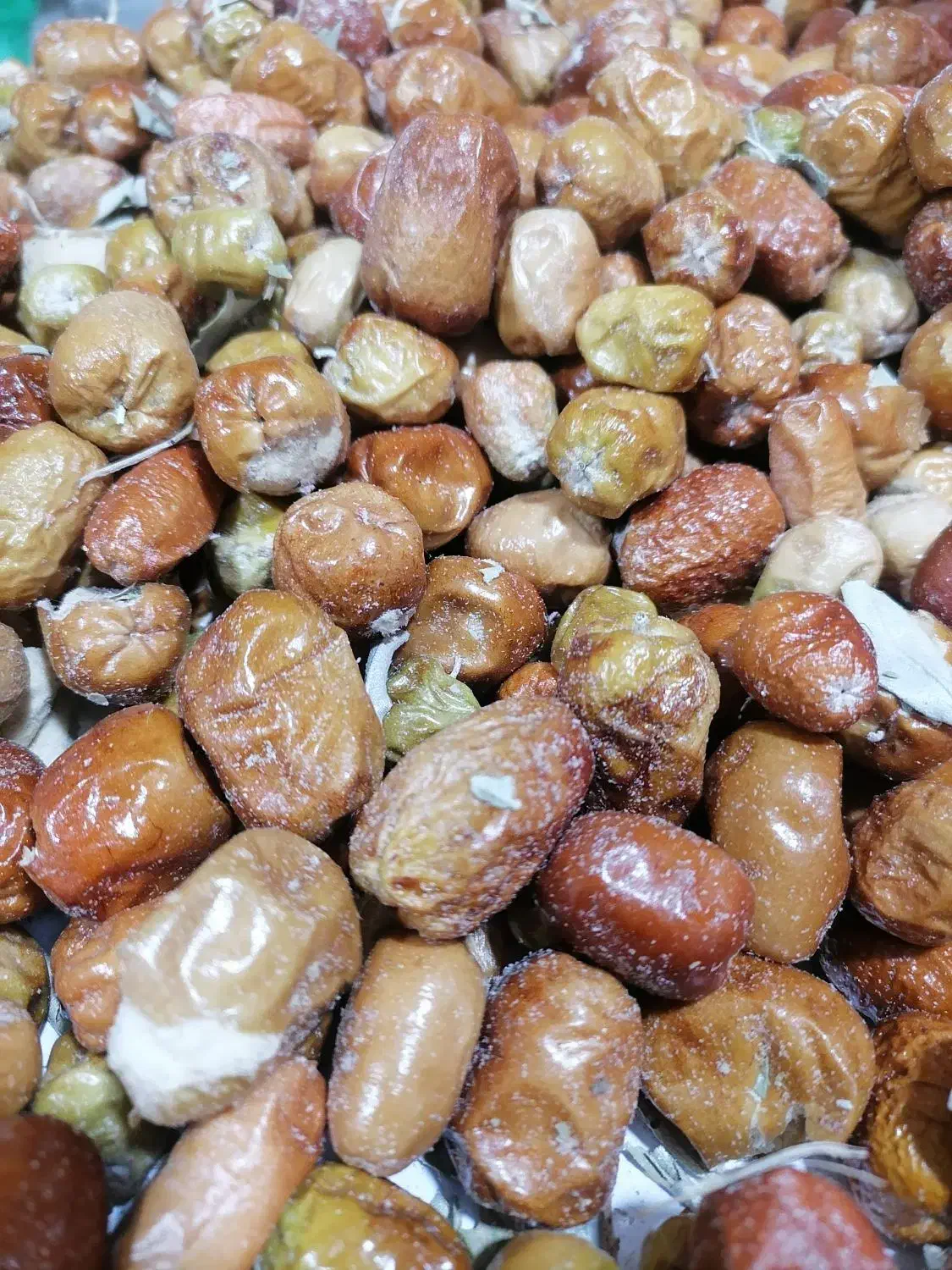 سنجد|خوردنی و آشامیدنی|تهران, بلوار کشاورز|دیوار