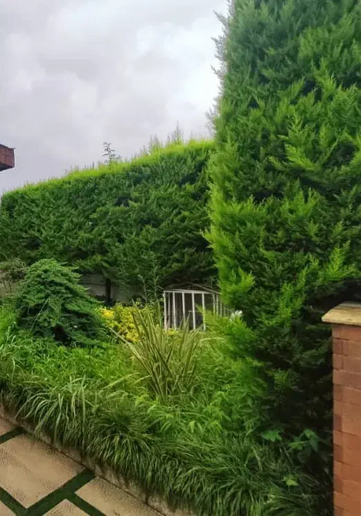 فروش زمین 275 متری/مناسب اپارتمان سازی/دریاگوشه|فروش زمین و ملک کلنگی|سلمانشهر, |دیوار