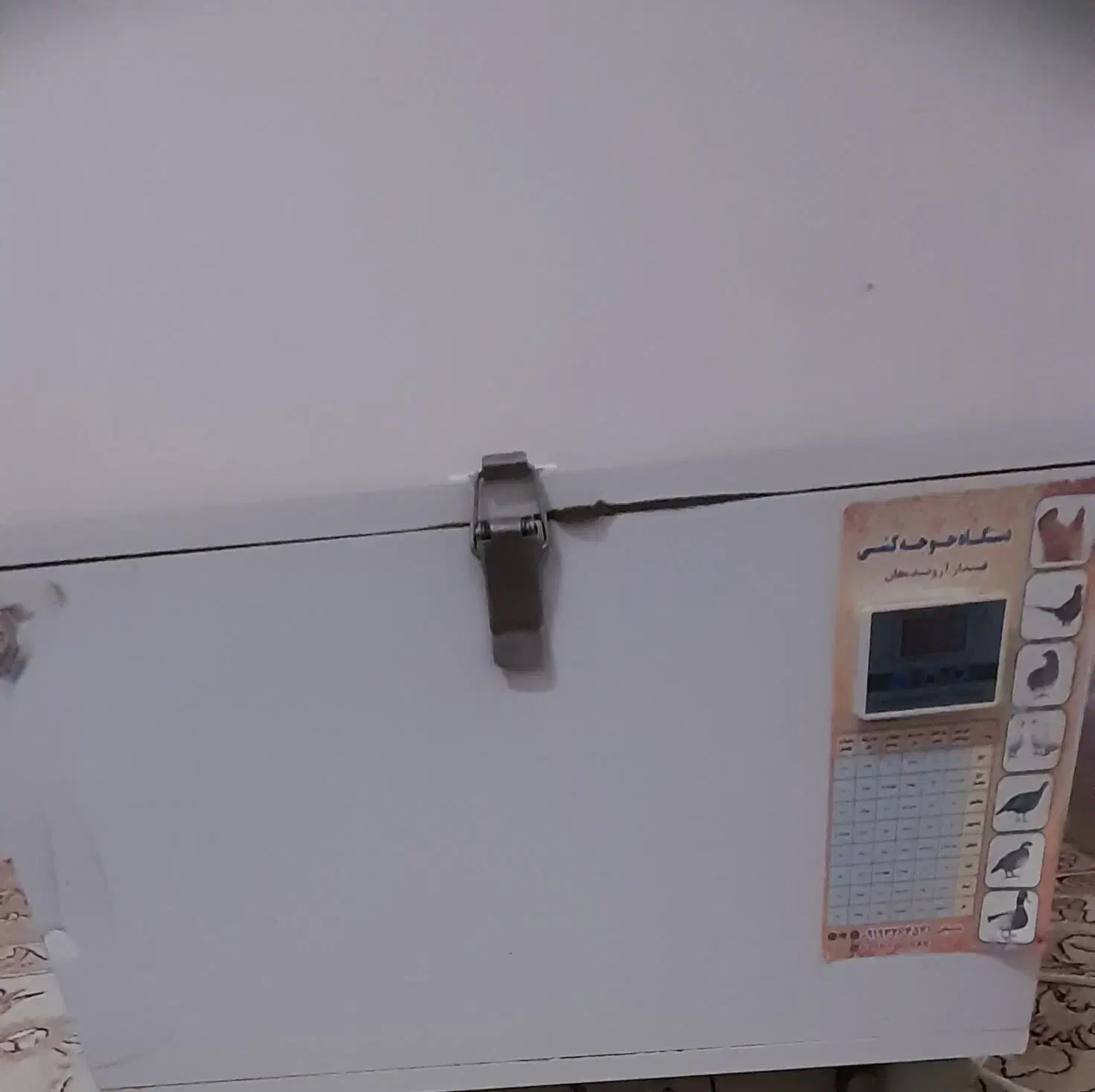 دستگاه جوجه کشی|لوازم جانبی حیوانات|قشلاق دشت, |دیوار