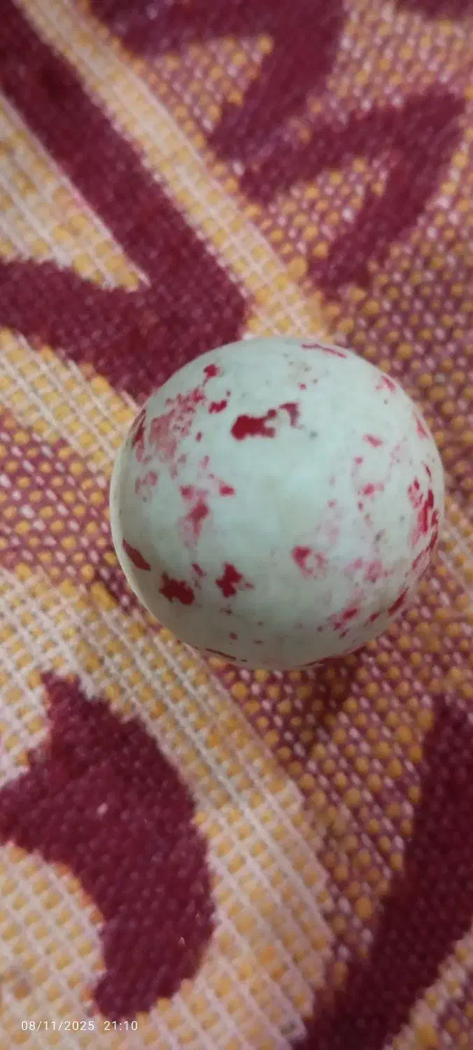 سنگ اسیاب|کلکسیون اشیاء عتیقه|اسماعیلی, |دیوار