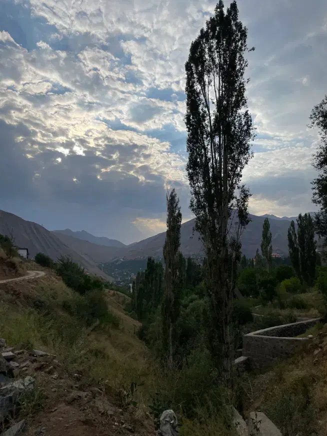 فروش زمین در میگون نو|فروش زمین و ملک کلنگی|فشم, |دیوار