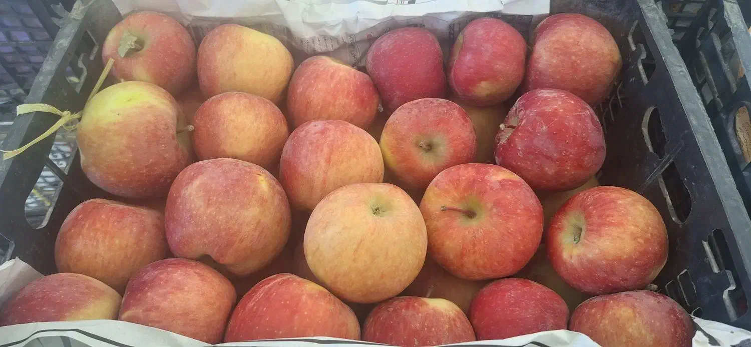 سیب استخوانی|خوردنی و آشامیدنی|قیدار, |دیوار