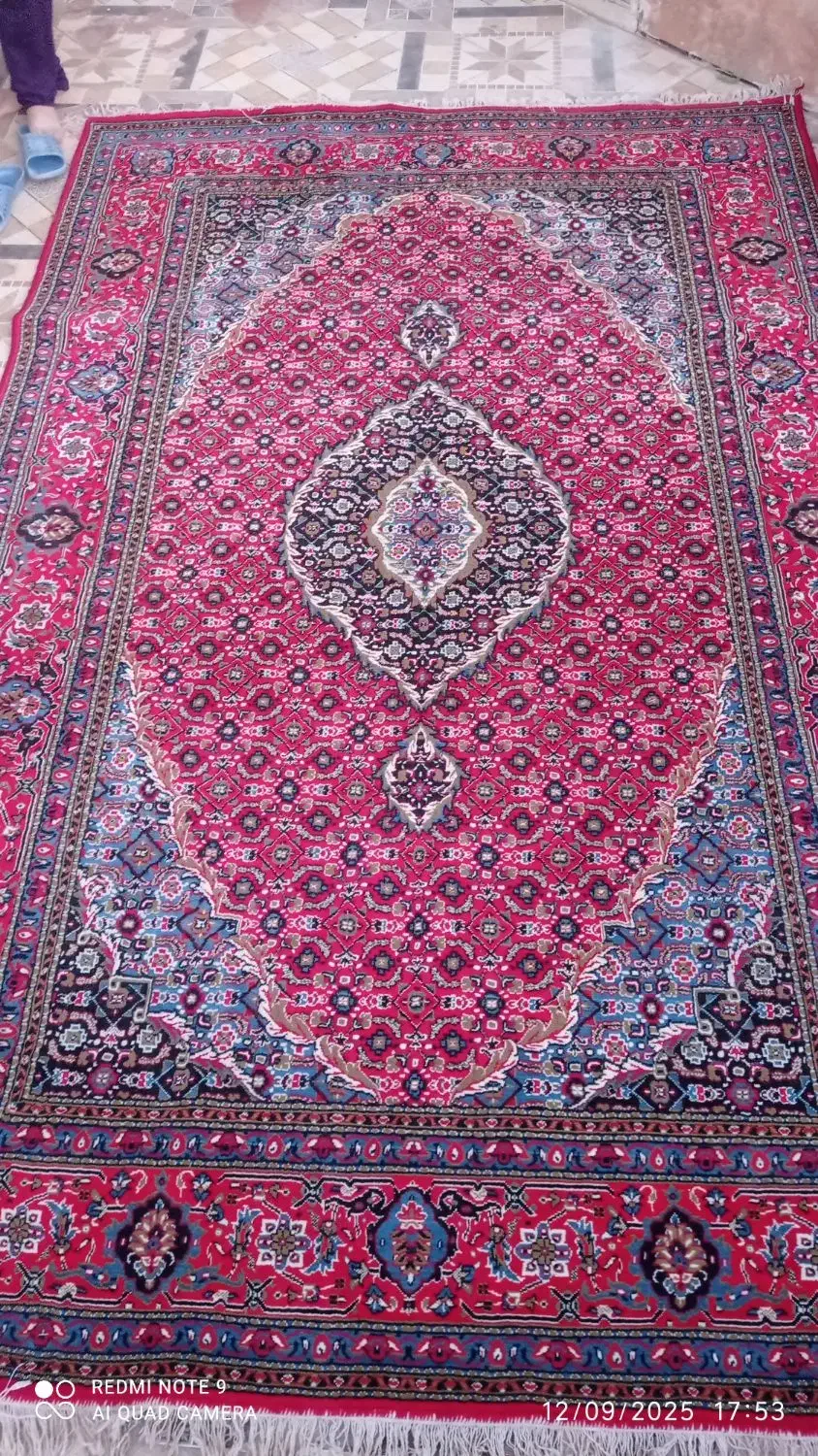 فرش ۶ متری|فرش|بیرجند, |دیوار