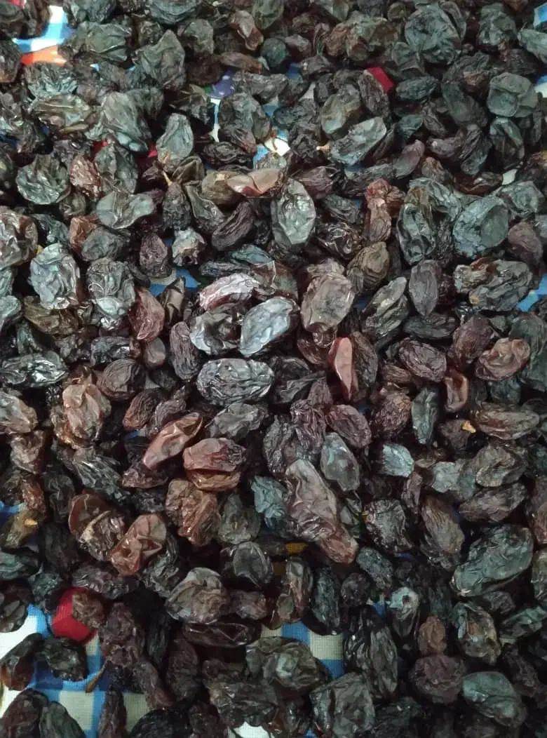 کشمش گوشتی و کاملا بهداشتی|خوردنی و آشامیدنی|ایوان, |دیوار