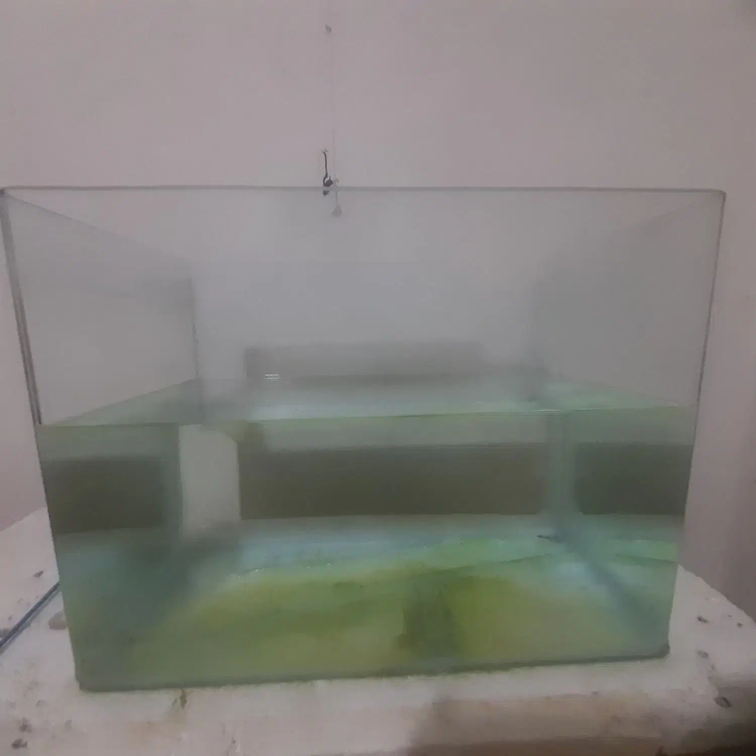 ۲عدد اکواریوم دونه ای ۲۵۰|ماهی|پاکدشت, پاکدشت (مامازند)|دیوار
