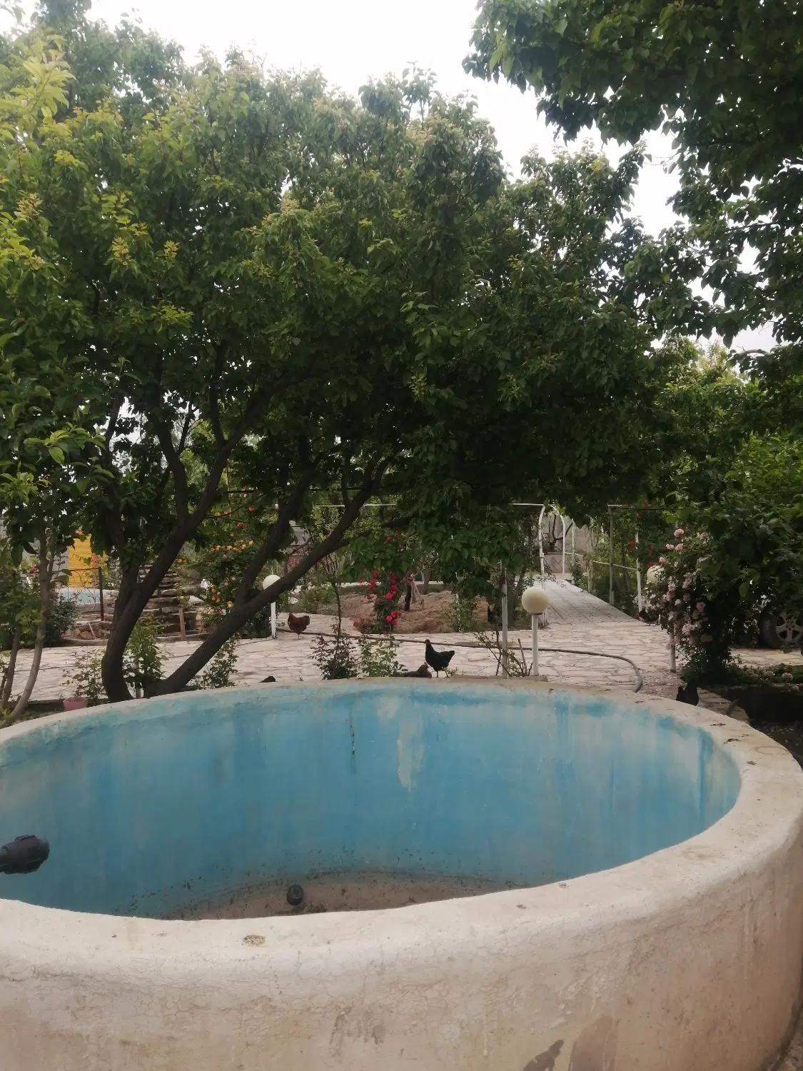 تصویر 17