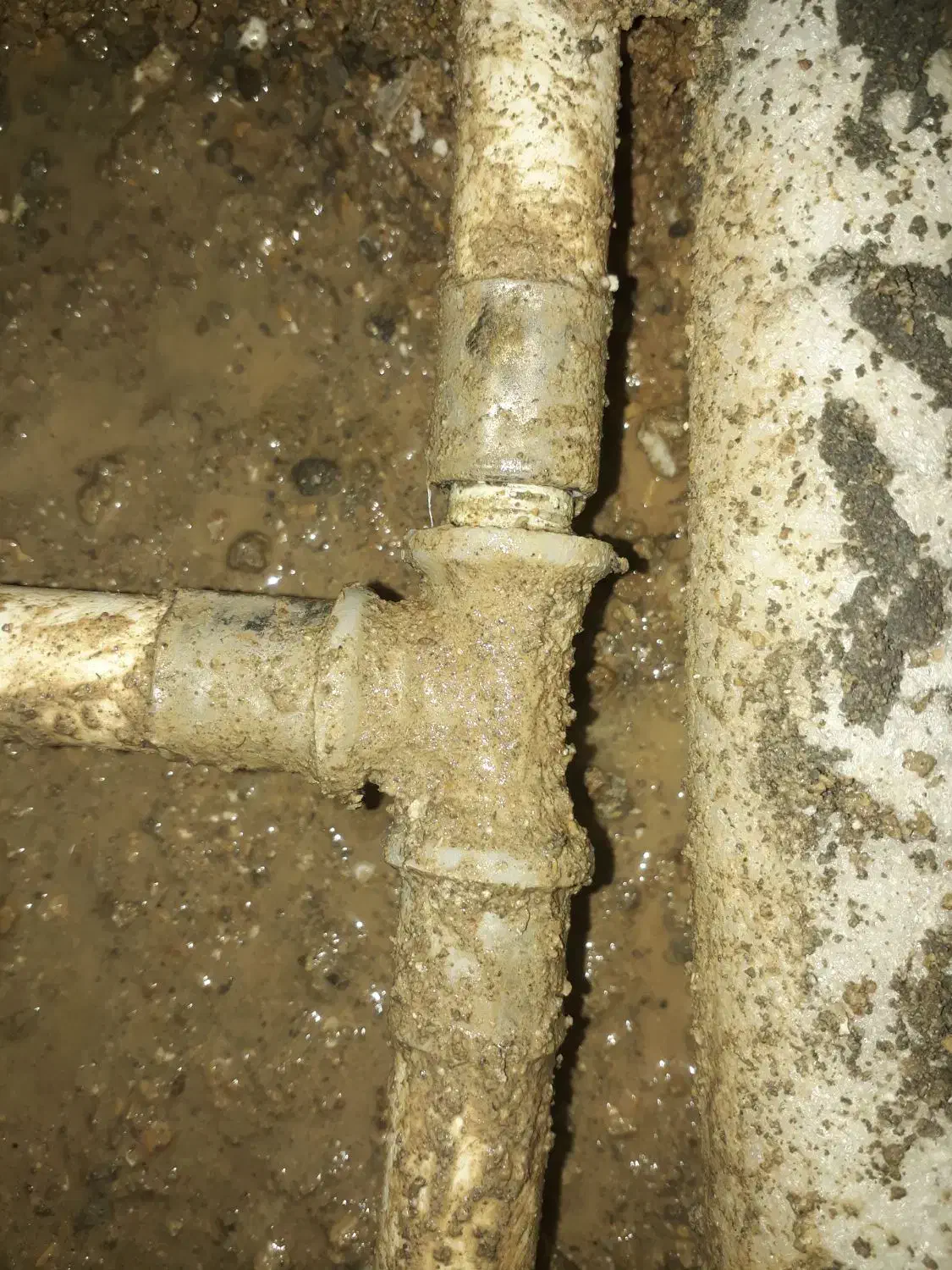 نشتیاب اول|خدمات پیشه و مهارت|گنبد کاووس, |دیوار