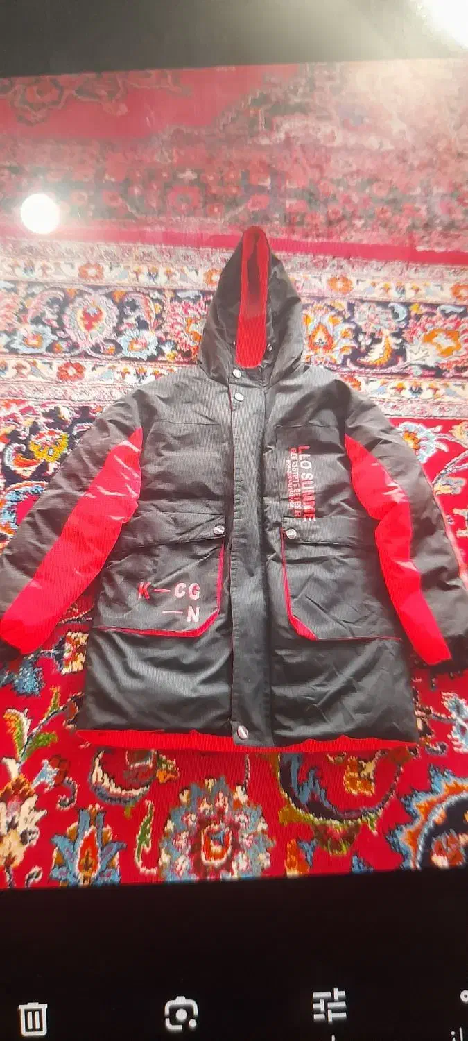 کاپشن و پالتو|لباس|تربتحیدریه, داروپخش|دیوار