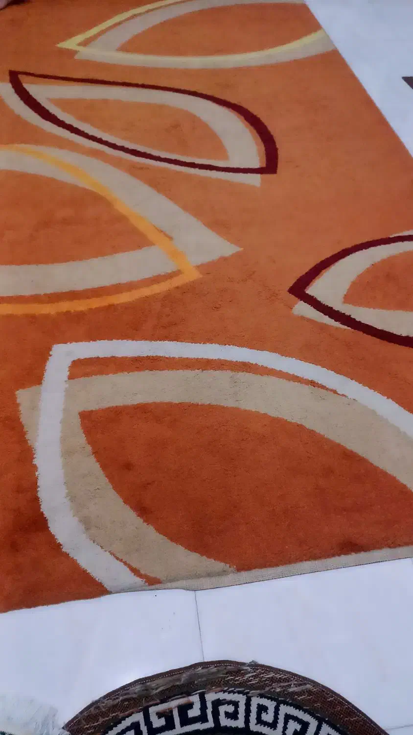 قالی فانتزی ۹متری|فرش|اهواز, کمپلو جنوبی|دیوار