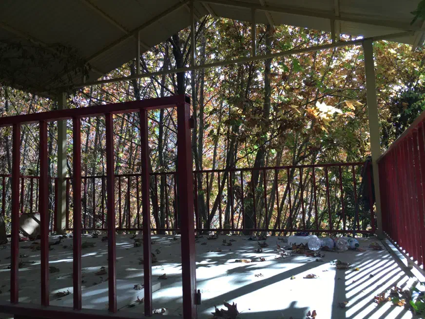 باغ|فروش زمین و ملک کلنگی|طالقان, |دیوار