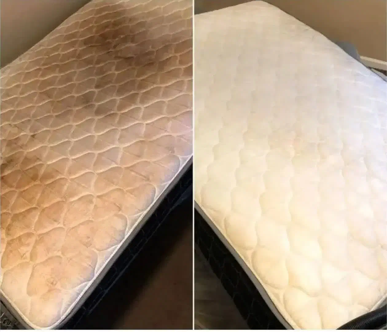 قالیشویی چهار فصل|خدمات نظافت|قم, زنبیل آباد|دیوار