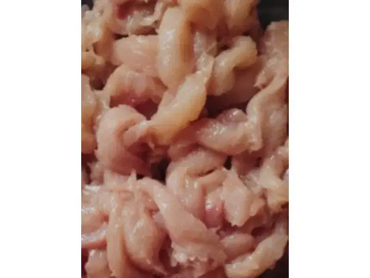 غذای سگ و گربه|لوازم جانبی حیوانات|رشت, بازار|دیوار