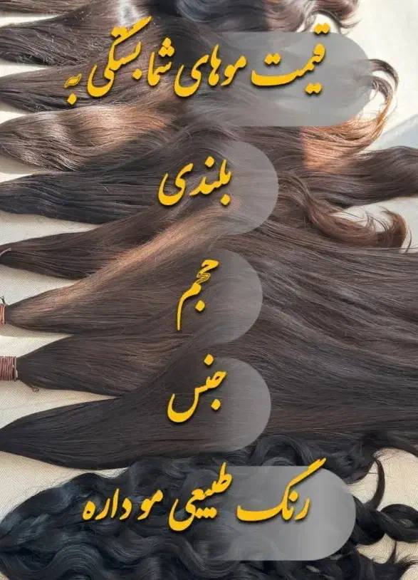 خریدار اصلی مو طبیعی|آرایشی، بهداشتی، درمانی|تربت جام, جامی|دیوار