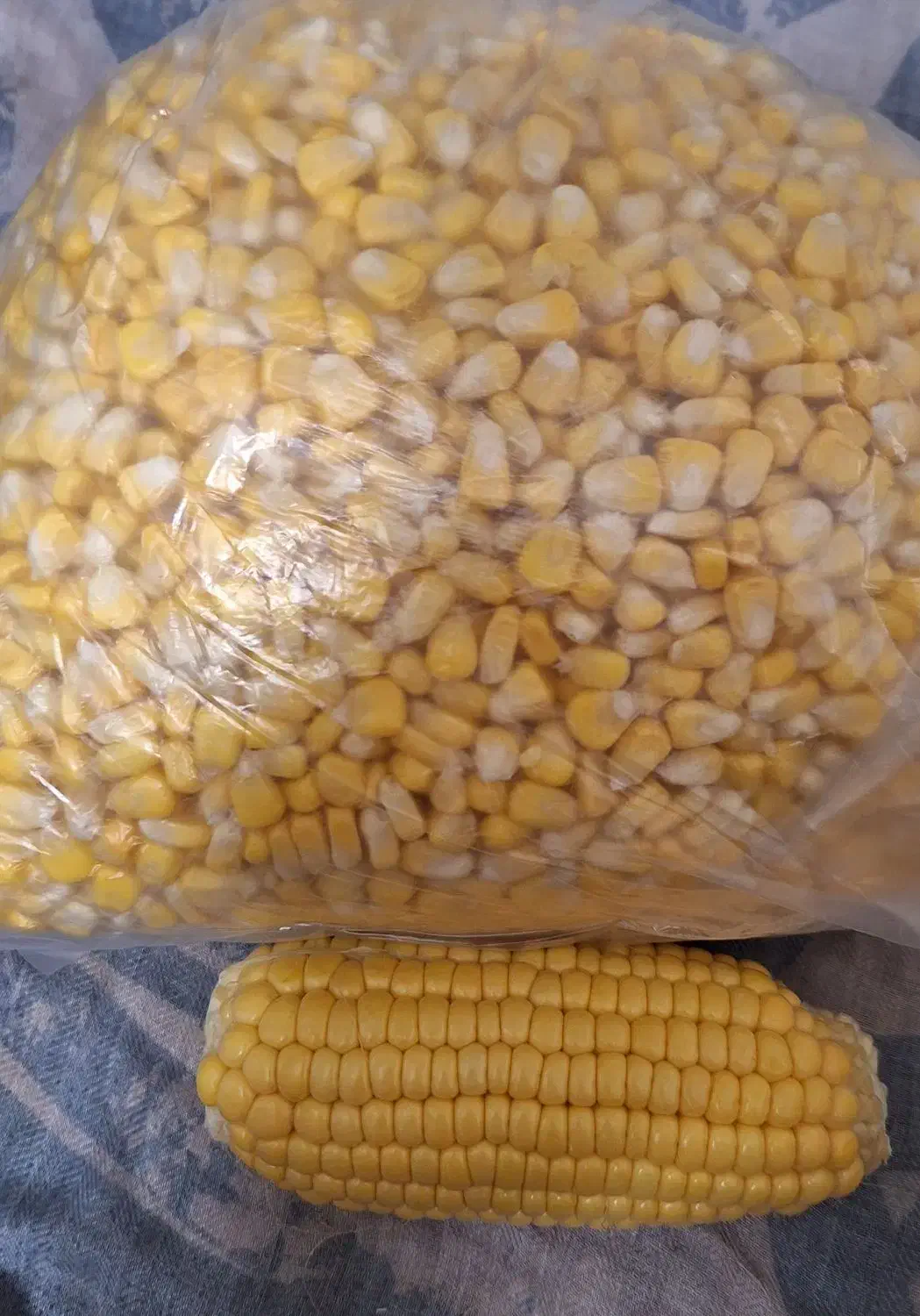 بلال دون شده مکزیکی|خوردنی و آشامیدنی|تهران, امام زاده عبدالله|دیوار