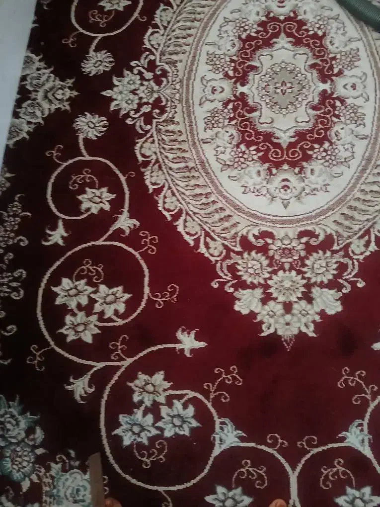 قالی زرشکی جنس خوب|فرش|شیروان (خراسان), |دیوار