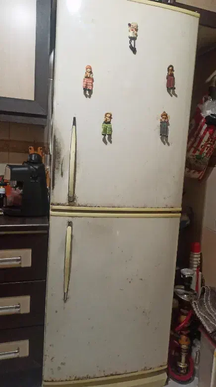 یخچال فریزر|یخچال و فریزر|تهران, شوش|دیوار