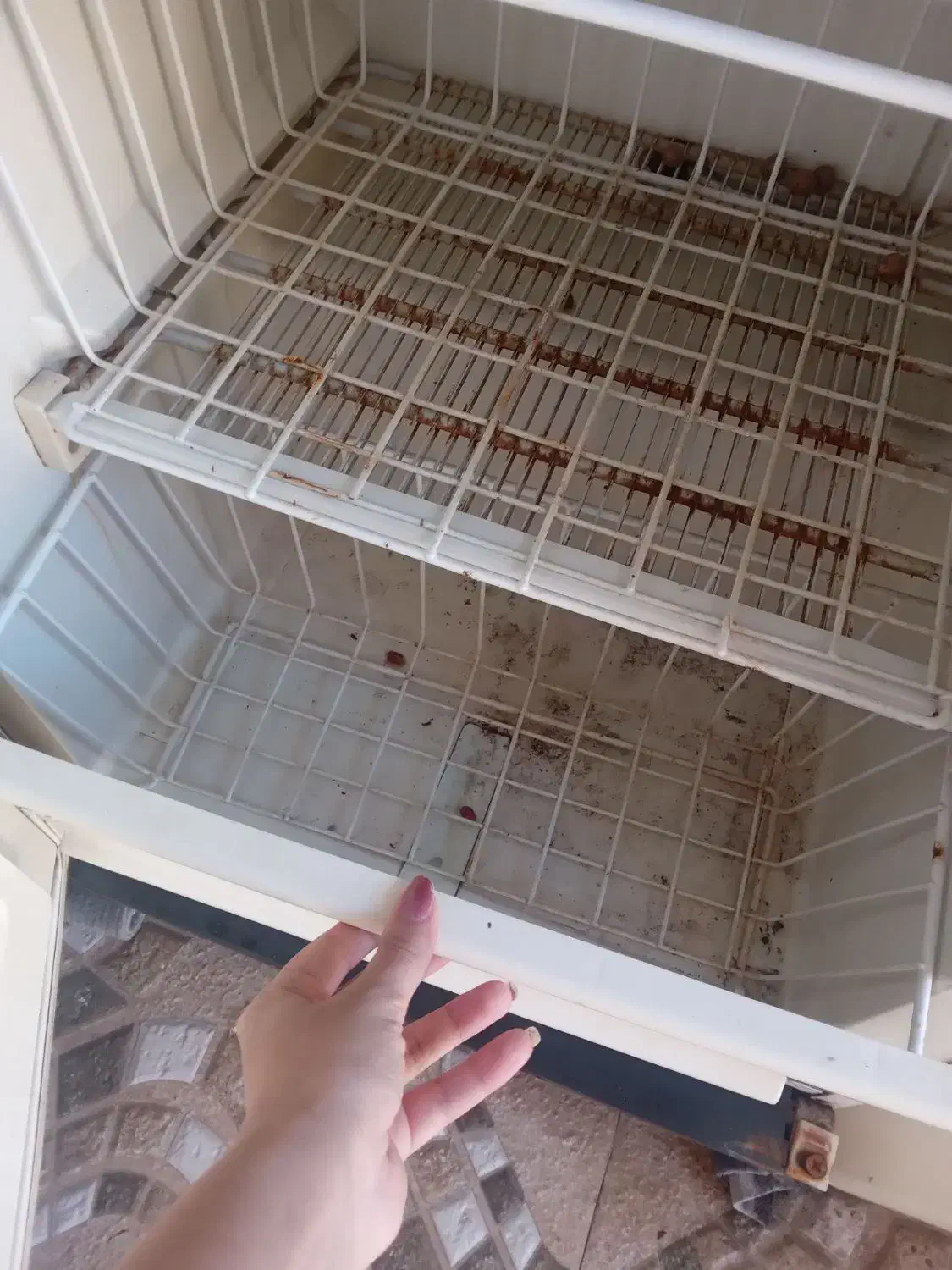 فریزر سالم|یخچال و فریزر|رشت, جماران|دیوار