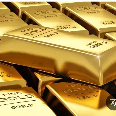 وام|فعالیت داوطلبانه|شیراز, آزادی|دیوار