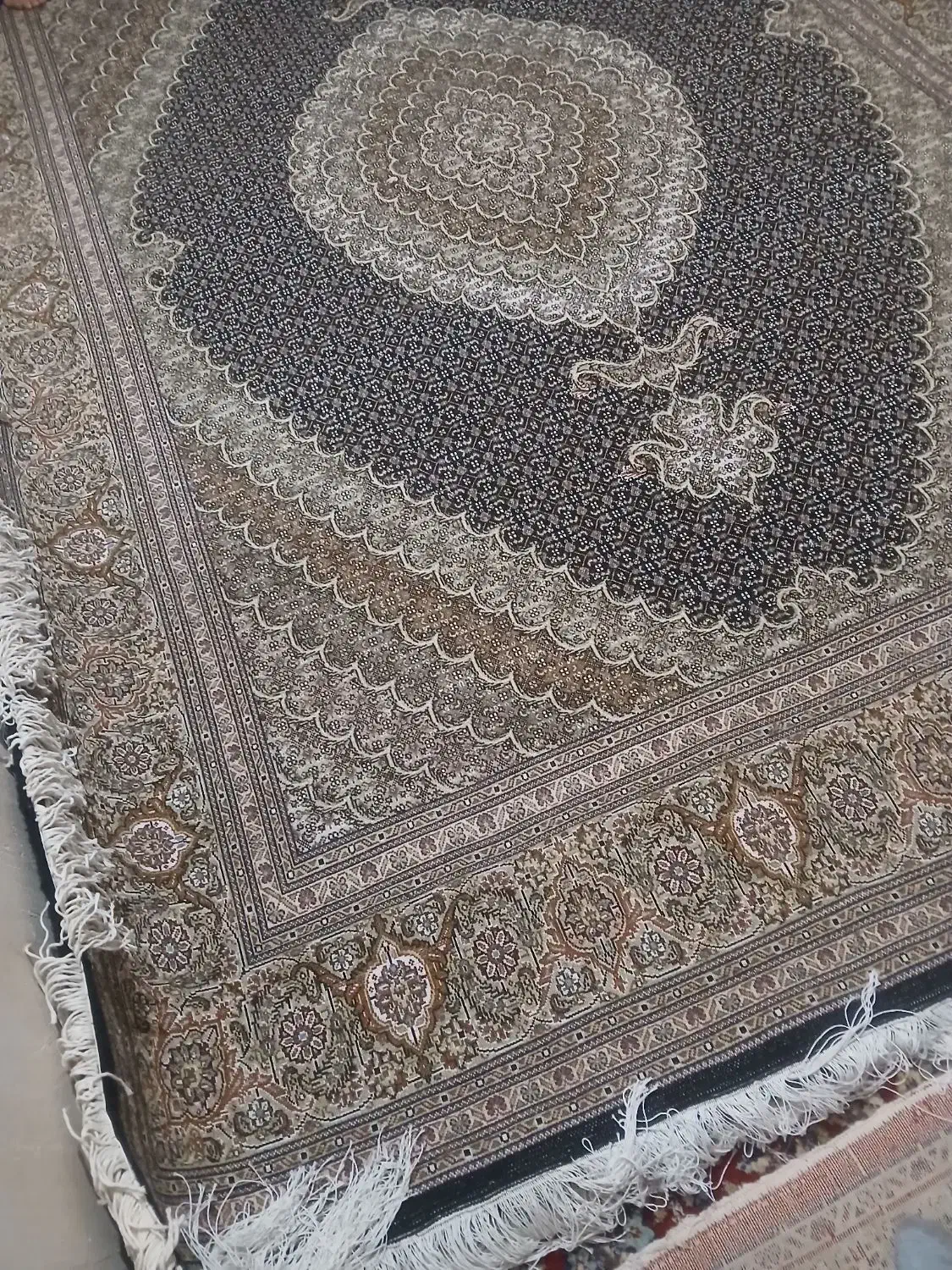 هر مدل ۴۰ رج جفت ۶متری دستباف دارم|فرش|ارومیه, |دیوار