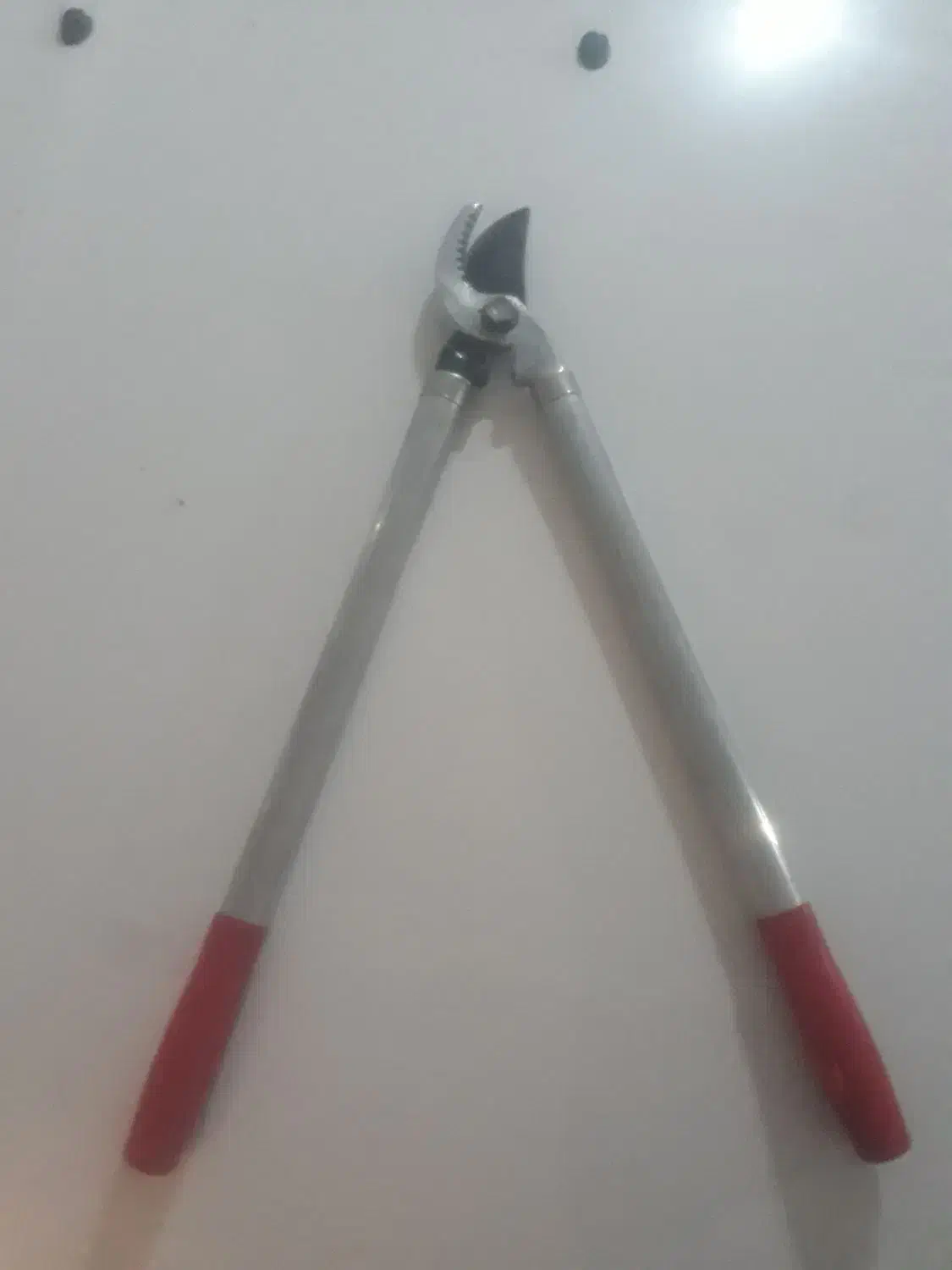 قیچی باغ دسته بلند|ابزارآلات|ساری, |دیوار