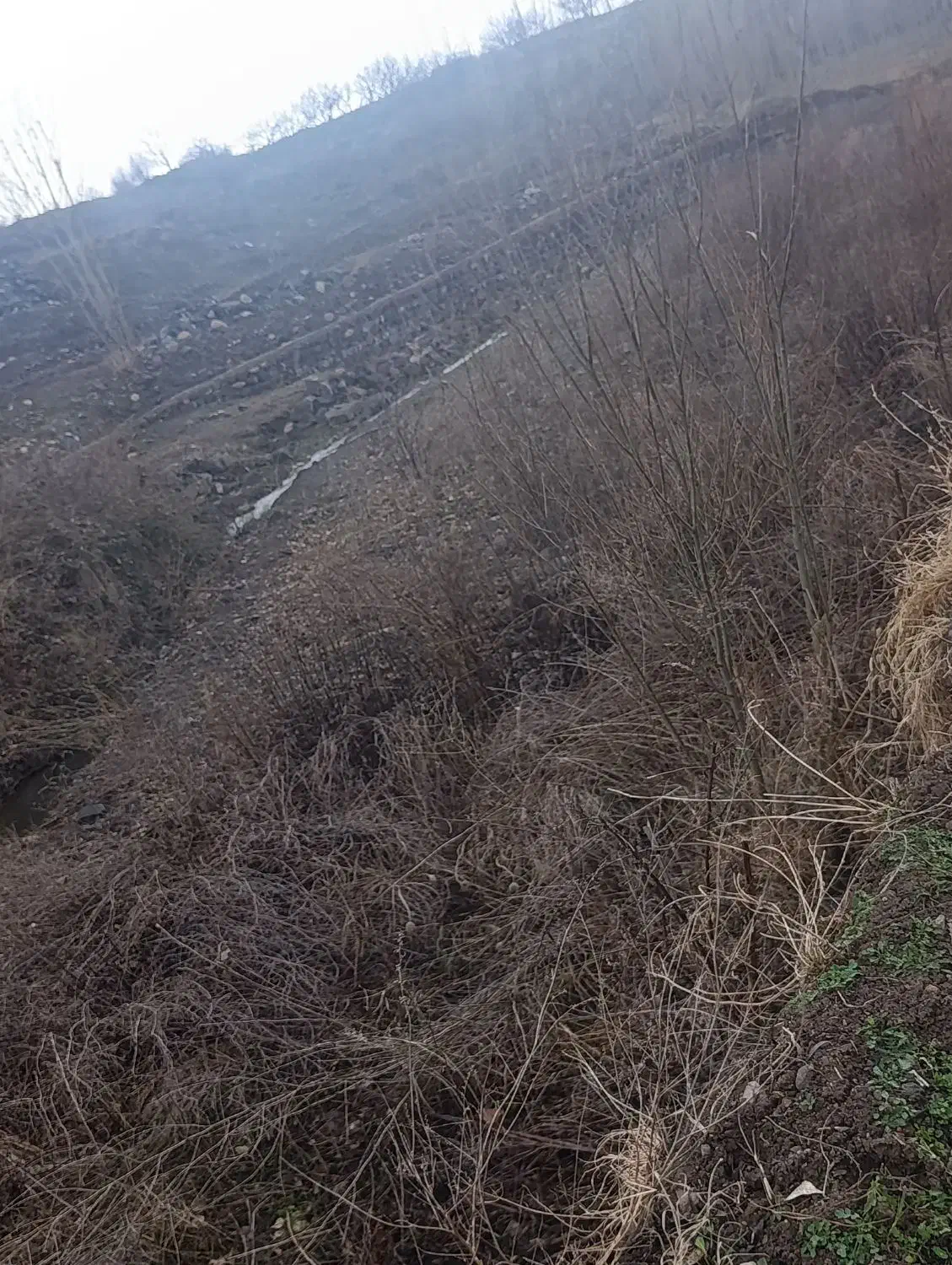 باغ|فروش زمین و ملک کلنگی|مشگین شهر, |دیوار