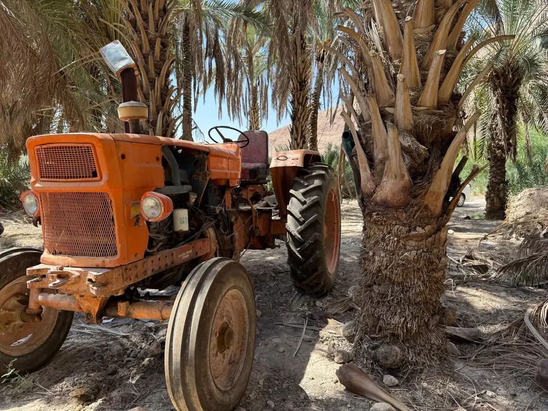 تراکتور رومانی در حال کار . بدون روغن ریزی|خودرو سنگین|حاجی آباد, |دیوار