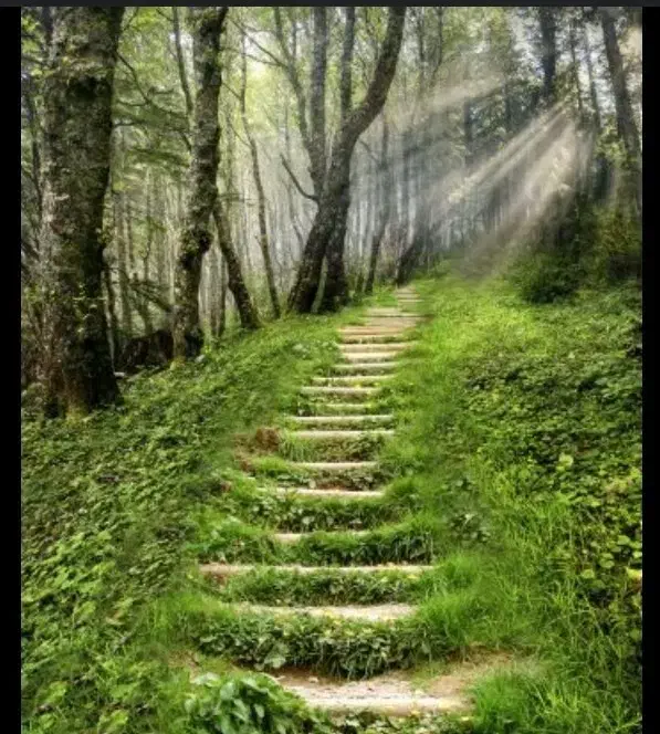 توروچارتر|تور و چارتر|سبزوار, پاسداران|دیوار