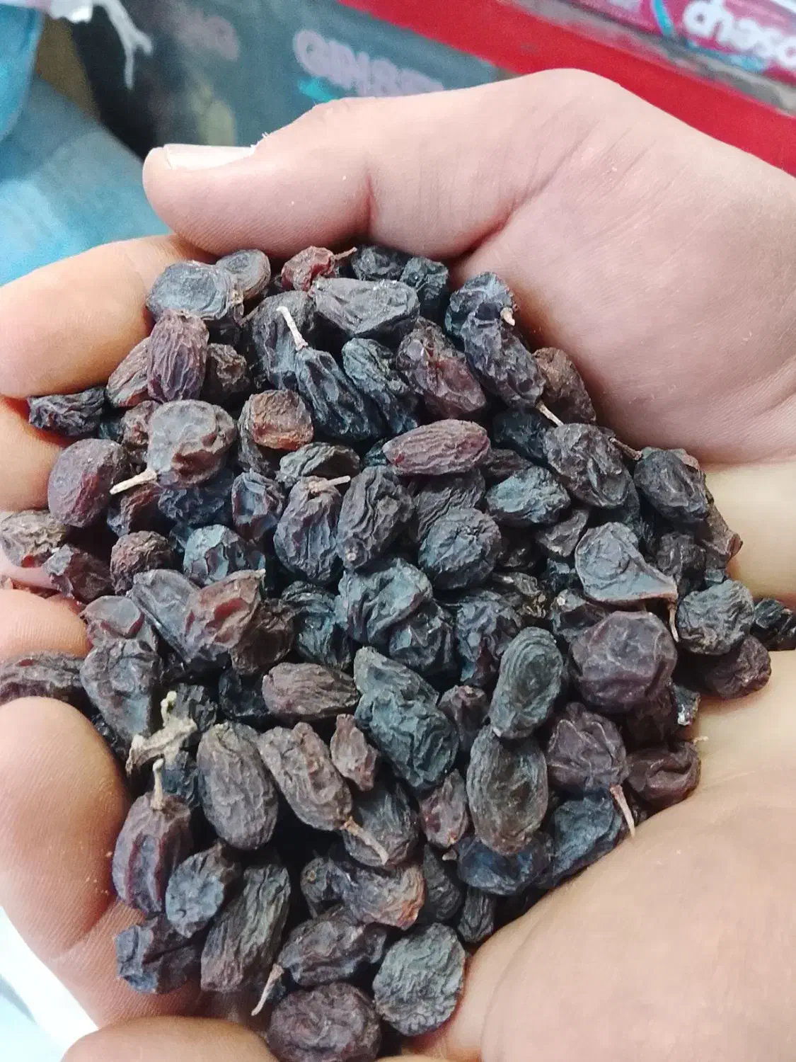 فروش حدود 250 کیلو کشمش بونات|خوردنی و آشامیدنی|شیراز, قلات|دیوار