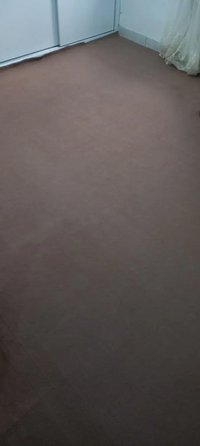 یه عدد موکت قهوه ای کبریتی رنگ  ۳/۴۷ × ۲/۴۱ سالم|فرش|گرگان, |دیوار