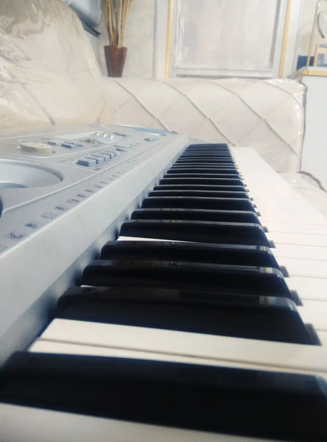 ارگ|پیانو، کیبورد، آکاردئون|ایذه, |دیوار