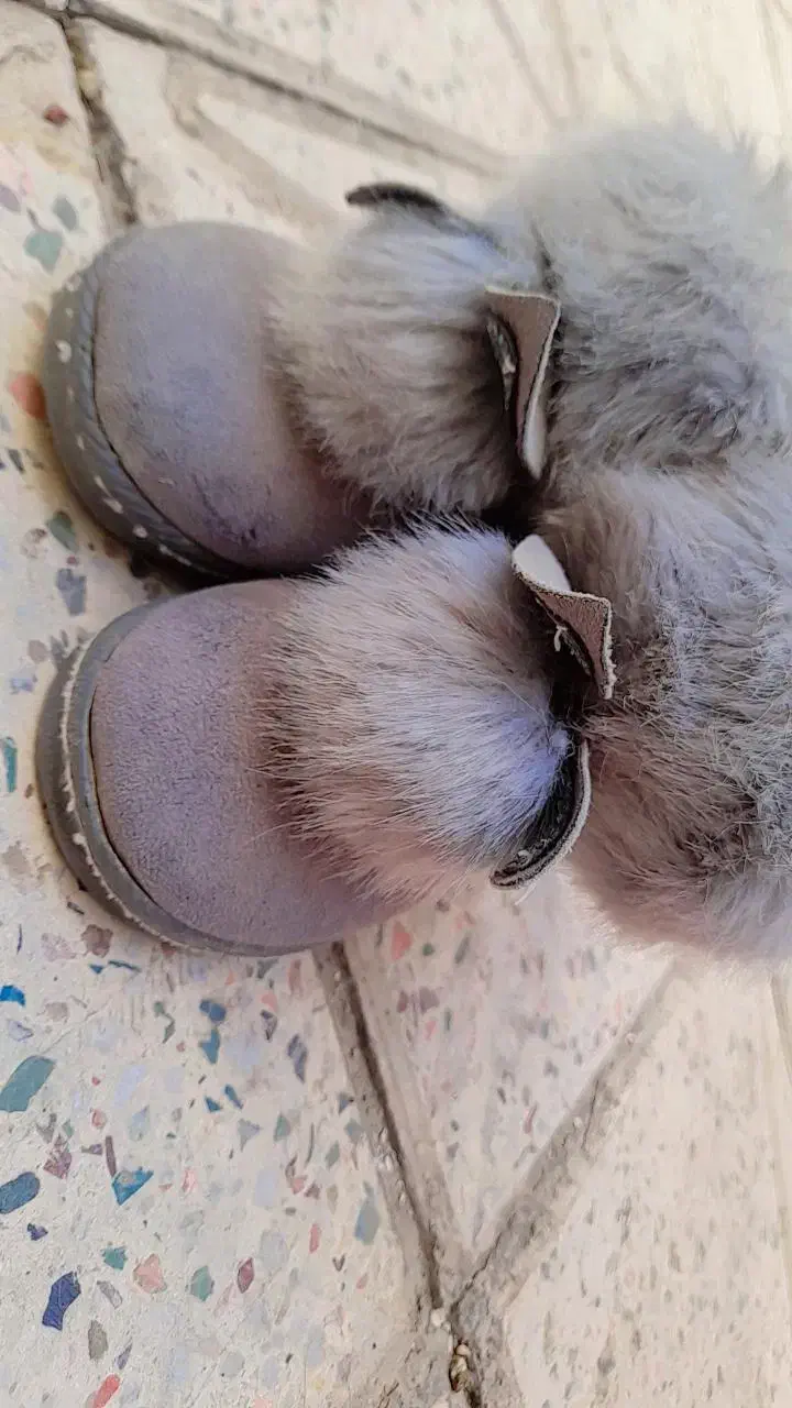 کفش بچگانه|کفش و لباس بچه|اسلام‌شهر, مظفریه|دیوار