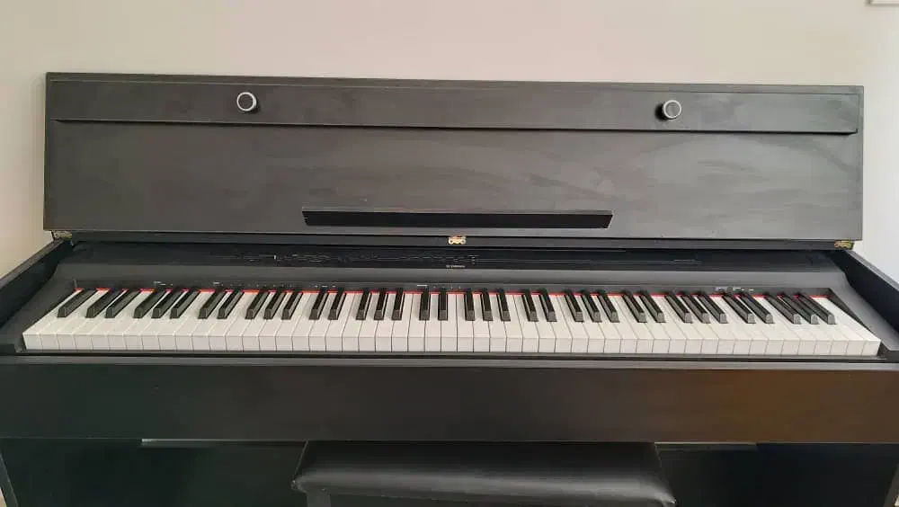 پیانو|پیانو، کیبورد، آکاردئون|اراک, |دیوار